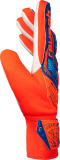 Reusch Attrakt Starter Solid 5570514 2290 blue orange s